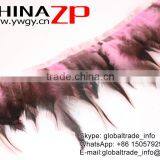 ZPDECOR Plumage Manufacturer Wholesale Cheap Cock Fringe Directly Dyed Light Pink Rooster Saddle Feathers Trims thumbnail-2