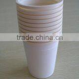 Biodegradable Cup