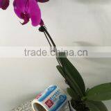 Direct Manufacture Rolling Baby Products Vinyl Material Labels Self Adhesive Stickers Printing thumbnail-3