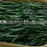 Artificial Plastic Plant