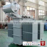China Oil-immersed Power Transformer