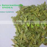 Senna Leaves