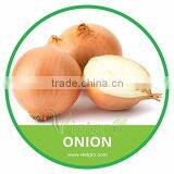 HIGH QUALITY FRESH ONION thumbnail-1