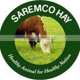 Saremco International company overview - view 3 thumbnail