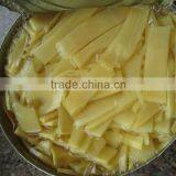 New Crop Healthy Bamboo Shoots Whole in Tin thumbnail-1
