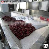 Stainless Steel Professional Microwave Red Jujube Dehydrator and Dryer Machine thumbnail-2