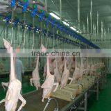 Chicken/poultry Slaughterhouse Poultry Equipment/machine Price for Chicken Slaughter House Slaughtering Line thumbnail-1