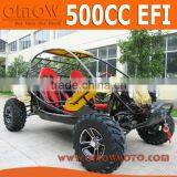 EEC EPA 4WD Go Kart Dune Buggy thumbnail-1