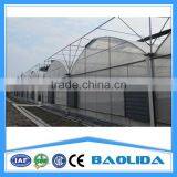 Multi-span Tunnelgreenhouse for Fruit thumbnail-2