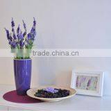 2014 Colorful Decorate Family Beautiful Plastic Flower Pot Garden Pot Plastics Flowerpot thumbnail-1