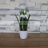 Table Artificial Mini Saussurea Flower Bonsai for Home and Commercial Decoration thumbnail-2