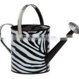 Blue Color Indoor Watering Can thumbnail-4