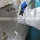 Frozen Shrimp Export thumbnail-1