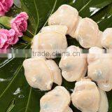 Tip-top Quality Frozen Short Necked Clam Meat thumbnail-1