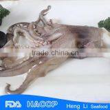 HL0088 Frozen Rings+tentacles thumbnail-1