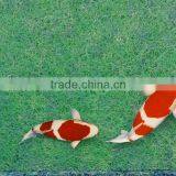Good Quality Durable Biological Filter Mat for Fish thumbnail-3