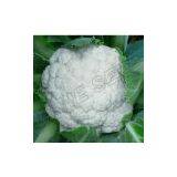Cauliflower 68 Days Seeds thumbnail-1