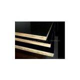 Black Film Faced Plywood thumbnail-3