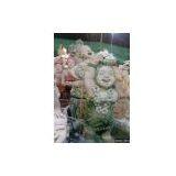 Oriental Style Fountain thumbnail-1