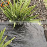 Water Permeable PP Woven Fabric Weed Block Pro Weed Mat 100gsm thumbnail-2