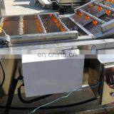 Commercial Used Vegetable Washer Leaf Vegetable Bubble Washing Machine With Control Panel thumbnail-1