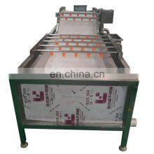 Commercial Apple Almond Cleaning Machine Fruit Washing Machine for Strawberry