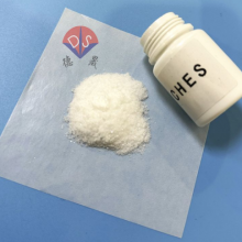 Exploring the Synthesis Method of the Biological Buffering Agent Sodium 2-cyclohexylamineethanesulfonate (CHES Na)