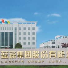 Lanshen Group Co., Ltd. company overview - view 1 thumbnail