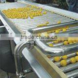 Concentrated Fresh Juice Processing Plant