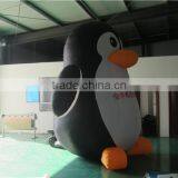 Customized Inflatable Penguin Model for Advertising Quality Choice thumbnail-4