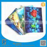Customized Notebook, Characteristic Notebook, Funny Notebook thumbnail-5