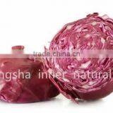 100% naural red cabbage extract
