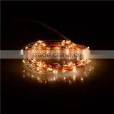Twinkle 20ft 120LED's Copper Wire LED Lights Copper Wire LED Starry Light With Remote Controller