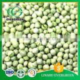 Natural Flavor Natural Size Dehydrated Frozen Green Pea
