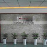 Hangzhou Honesun Magnet Co., Ltd. company overview - view 2 thumbnail