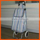 Shopping Cart With Stripe Pattern thumbnail-1