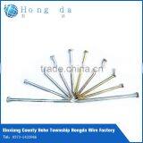 Wire Nails Price thumbnail-1