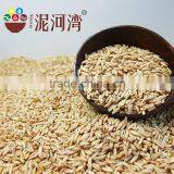 High Quality Chinese Hulled Oats, Naked Oats, Flat Oat Flakes, Rolled Oats Price thumbnail-5