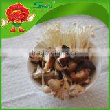 2015 New Crop Fresh Mushrooms for Sale thumbnail-1