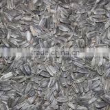 SUNFLOWER OIL ( Cold Press ) thumbnail-6