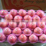China Fresh Apple Fruit 2015 From Yantai thumbnail-3