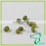 Green Mung Beans Promotional Price thumbnail-4