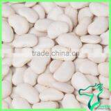 High Grade Beans White Kidney Beans Large Type Best Price thumbnail-3
