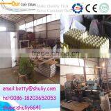 2014 Hot Egg Tray Machine/ Pulp Molding Egg Tray Machine 4*8
