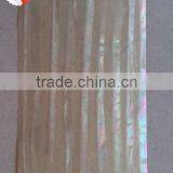 Green Snail Turbo Marmoratus Wall Paper Laminated