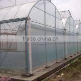 High Quality Commercial/agricultural Used Film Covering Greenhouse for Sale thumbnail-5