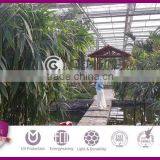 8mm Polycarbonate Honeycomb Panel,Agricultural Greenhouse,Polycarbonate Greenhouse Sheet thumbnail-1