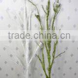 Decorative Try Branch Decorative Birch Branches