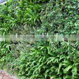 Factory Price Green Plant Wall Artificial Grass Wall thumbnail-1