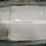 GIANT SQUID FILLETS DOSIDICUS GIGAS 2KG-4.5KG thumbnail-1